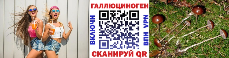 магазин  наркотиков  Камбарка  Галлюциногенные грибы мицелий 